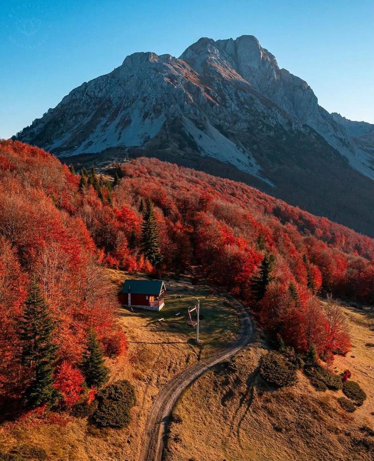 Mountain House Komovi-Radunovic Andrijevica Esterno foto